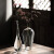 唐兴 日式玻璃花器插花瓶水培透明简约餐桌客厅茶道零配禅意插花瓶 梅 花器