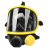 创华 面罩呼吸器（图片仅供参考，发货以型号为准）Pano全面罩1710397单位个起订量5 15天