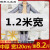 1.2米气泡膜全新料泡沫垫加厚泡泡纸垫卷装包装纸防震袋快递打包 双层加厚宽30cm长约65米2.8斤