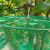 康丽雅 K-1348 折叠式悬挂捕蝇笼 环卫物业垃圾站苍蝇笼诱捕蝇器 捕蝇笼+诱饵