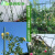 睿格达定制新款葡萄猕猴桃丝瓜葫芦黄瓜豆角番茄百香果月季庭院爬藤架子 长1.2宽1.2高2.4米/套 粗20mm
