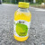 xywlkj柚谷栗双柚汁小青柠汁310ml5瓶 杨梅西柚原味酸奶果汁饮料玻璃瓶 老椰汁5瓶