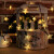加达斯太阳能星星灯串LED彩灯闪灯满天星户外防水花园别墅装饰灯 七彩色 5米20灯