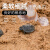 乌龟冬眠孵化用细河沙鱼缸装饰造景底砂草龟鳄龟巴西龟下 5-8毫米铁胆沙5斤