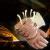 化科 耐高温手套灵活款耐100至150度工业防烫劳保防护隔热手套 耐250度高温手套