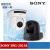 SONY索尼会议摄像机/头 SRG-201SE/X402/HD1M2/280SHE SRGHD1M2 12倍SDI+HDMI+
