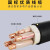 珠江电缆国标YJV22铠装铜芯三相四线电力电线 （YJV22铠装）3芯+2 6平方 1米价