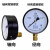 历修定制杭州富阳华科压力表储气罐轴向气Y100Z空机0-1.6MPA 轴向0-6MPa