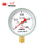 红旗（HONGQI）Y-100红旗普通压力表径向安装0-0.16mpa水压油压气压表螺纹M20*1.5	