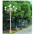 亮普洛 中华灯 9米9火高杆灯 市政道路灯 景观庭院广场灯 9米中华灯9火含光源