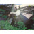 PDQ室外迎门瓷砖影壁墙松鹤延年电视背景墙农村户外陶瓷迎客松3D壁画 平面哑光/0.1平方米 0.1-0.1㎡