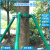 钢管树木支撑架固定器园林绿化养护防风大树支撑杆苗木镀锌行道树 2.5米长绿色40管1.5厚4根+抱箍