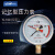 上海联力YJN-100双针耐震 记忆型压力表 峰值压力记录充油抗震表 2.5MPa