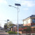 户外路灯LED灯5/6米高杆可定制道路不锈钢超亮ip灯头 6米60w（工程款 不虚标）