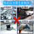 索克曼 融雪剂 除雪剂工业盐50公斤（-50度）高效环保 新旧包装随机发货