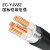 鑫永信 国标铜芯铠装ZC-YJV22电力电缆 足方足米 5*1.5平方 1米(定制)
