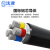 沈津 ZR-VLV22-0.6/1KV-3*50+2*25mm² 国标铝芯铠装阻燃电力电缆 1米