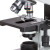 AmScope 三目显微镜 耐用型 T490B 一套
