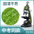 显微镜儿童科学光学10000倍初中生物小学生实验套装器材 绿色显微镜【36标本+拍摄支架】 新升级可调节亮度+彩盒