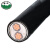 绿城 铜芯电力电缆YJV22 2*4 黑色1米 100米起售