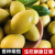荣嵘橄榄水果 甜种金灶三棱金玉潮汕特产 纳种1斤