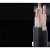 电力电缆16铜芯YJV22 2 3 4芯10平方25室外ZR动力电缆铜线 YJV3芯16(10米)