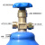 HEQI GLASS 实验室用氧气钢瓶工业无缝气瓶 40L(含氧气)