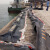 京顿橡胶围油栏WGJ800充气式拦油带拦污带拦油索水域码头港口钻井平台垃圾浮油防扩散