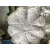 高 洁 擦机布白色碎布工业抹布刀口布无尘吸水吸油不掉毛 50斤海南(包物流)