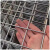 德威狮 304不锈钢铁丝网电焊网片加粗隔离防护网片 3cm方孔3mm粗1m宽2m长 单位：张