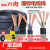 远东电缆RVV电缆线国标电线软线2芯3芯1/2.5/4/6/10平方电缆线户 国标2芯2.5平方1米价