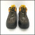 大盾劳保鞋  PL0216牛皮钢包头防砸耐油中邦运动劳保鞋  牛皮鞋面PU大底（1双)重1.1KG 43