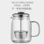 金灶（KAMJOVE） 小青柑玻璃茶壶泡茶壶 耐热玻璃茶具 茶水分离杯花茶壶飘逸杯 A76 560ml