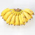 广西小米蕉新鲜水果特产香蕉现摘毛重 5斤家庭装