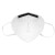 霍尼韦尔（Honeywell）口罩 KN95 H910Plus防沙尘暴耳带折叠式防雾霾口罩10只/包 H910plus耳戴 10只/包