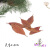 各种天然叶子集 教学标本 幼儿园DIY干树叶 植物贴画拼画树叶相框 白千层*12支 树叶