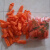 20个50个100个切口乳胶橡胶工业加厚耐磨麻点劳保颗防滑手指套 橙色大号L(20个)