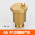 定制自动排气阀暖气片黄铜空调管道立式放气阀自来水管道空调议价 6分/DN20直排排气阀