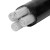 立飞 电缆线 不带凯国标线  YJLV 电力电缆地理架空线  铝芯不带凯 3*50+1*25平方  1米（定制）