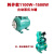 定制适用HJY-1100A冷热水自动自吸增压泵韩进泵全套水箱叶轮 压力罐