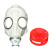 一护防毒全面具面罩 E40接口 防汞蒸气(面具+6#小罐)