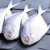 海易鲜（HAIYIXIAN） 冷冻银鲳鱼500g袋装 5-7条平鱼银昌鱼晶鱼银盘鱼 鲜活冷冻海鲜