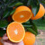 伯贤 四川爱媛38号果冻橙当季甜橙子水果新鲜5斤 5斤 70mm(含)-75mm(不含)