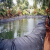 pe加厚鱼塘防渗膜养殖蓄水专用鱼池防水布防漏布池塘藕池土工膜 20S加厚16米宽50米长
