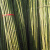 犀跃 竹竿 爬藤竹杆架搭架 篱笆栅栏彩旗杆细竹子 直径2cm 长2.8米（50根）