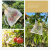 铸固 防鸟防虫纱网  可收缩透光水果蔬菜专用套袋网 保护袋 1.3米x2米/1个