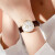 罗宾尼（LOBINNI）品牌瑞士认证女士手表镶钻全自动机械表女防水情侣女式腕表送女友 枚壳白面棕带