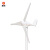 晶标户外三叶水平轴风力发电机家用商用小微型220v伏直流风光互补永磁路灯风力发电M型12v600W