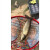 古洛日本进口古洛鱼竿28调竞技5.4米碳素超轻硬台钓鱼竿手杆十大 4.8m 2022科技（X设计28调细轻5H