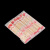 庄太太 国潮熊猫350ml-100只 加厚一次性碗纸碗外卖打包盒ZTT-9121